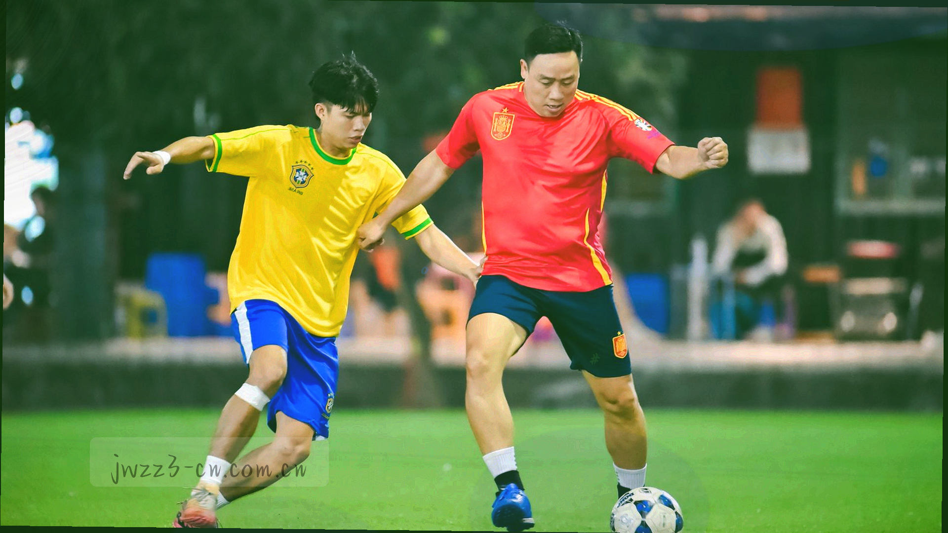 九五至尊官网品牌长卷与抽象卷轴光效